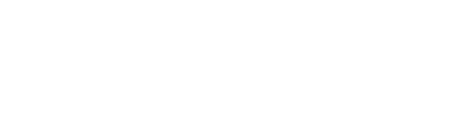 Elevated Management Consulting LLC