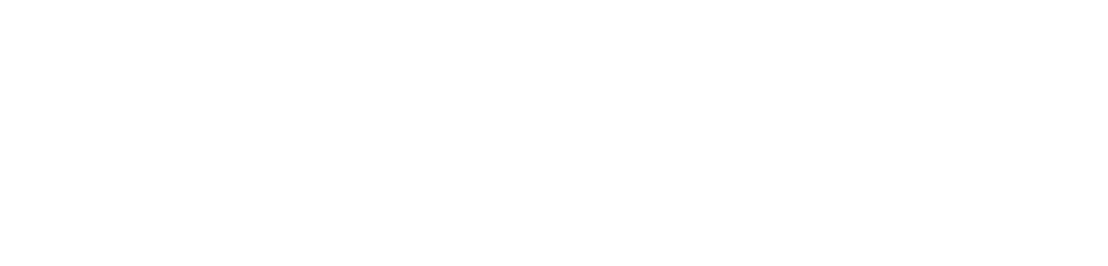 Elevated Management Consulting LLC